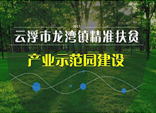 文炫農(nóng)業(yè)農(nóng)業(yè)有限公司成果報獎PPT設計制作