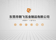 廣州朝飛公司簡介PPT 公司介紹PPT設(shè)計(jì)制作