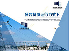 西雙版納項目競標PPT定制