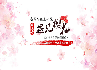 櫻花節PPT設計制作