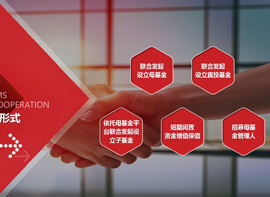 長江經濟帶產業基金管理有限公司PPT展示 公司介