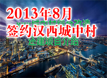 漢西城中村ppt制作 項目介紹