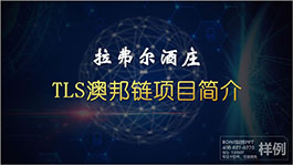 深圳澳邦鏈項(xiàng)目簡介商業(yè)計(jì)劃書BPPPT