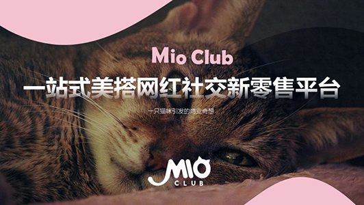  MioClub  社交零售新平臺(tái)ppt制作
