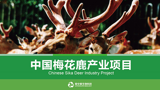 愛中愛生物科技項(xiàng)目計(jì)劃書ppt美化