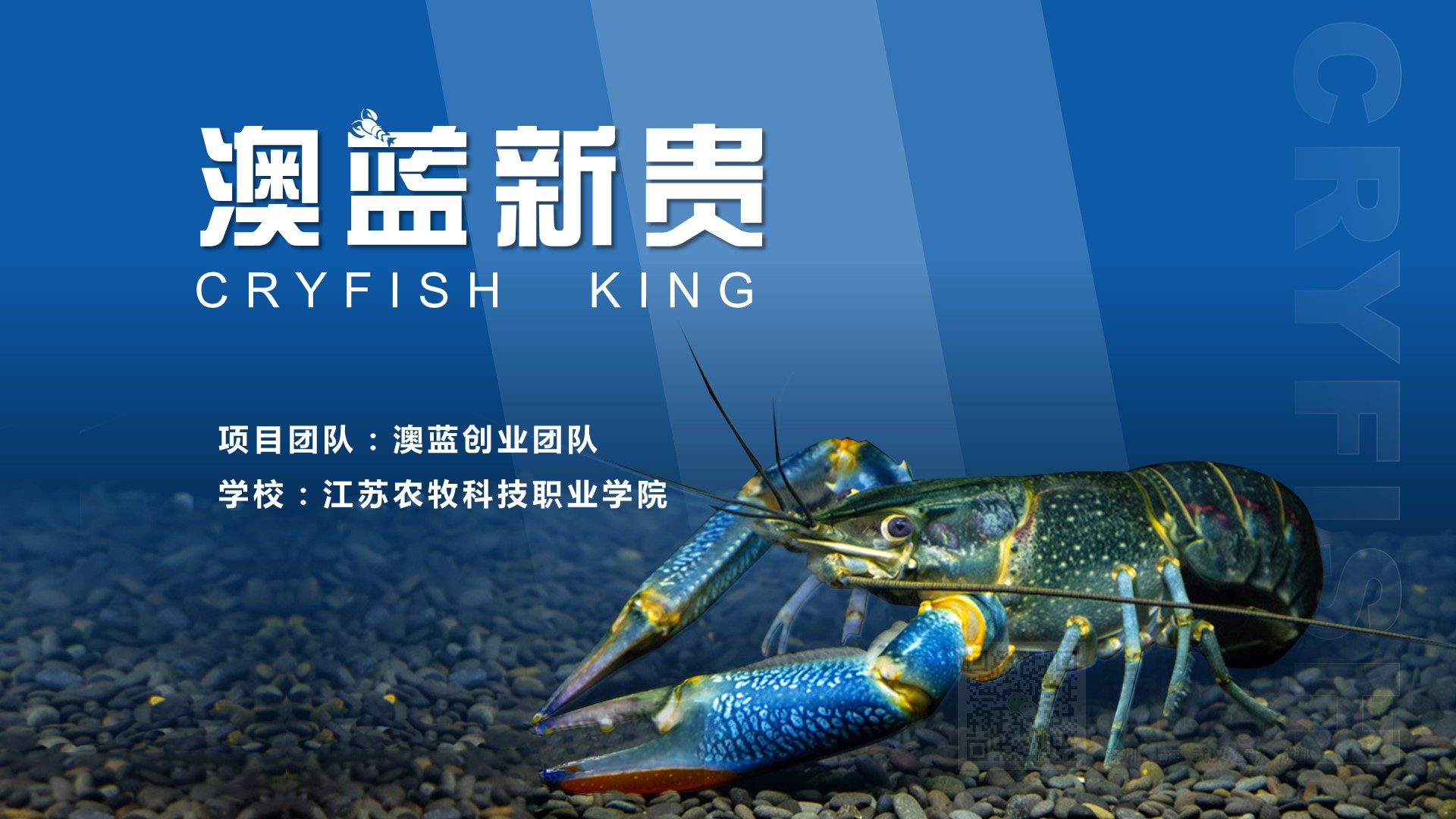 智能手機產品發布會產品推介