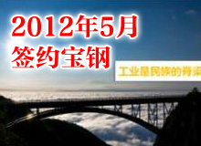 <b>寶鋼PPT設計制作 項目介紹PPT</b>